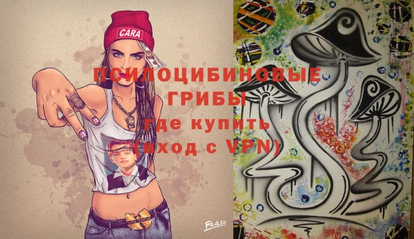 твердый Балахна
